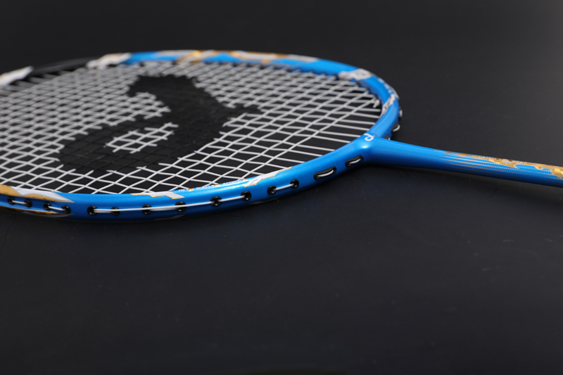 Raqueta De Bádminton De Carbono Premium Cx-b668 Azul