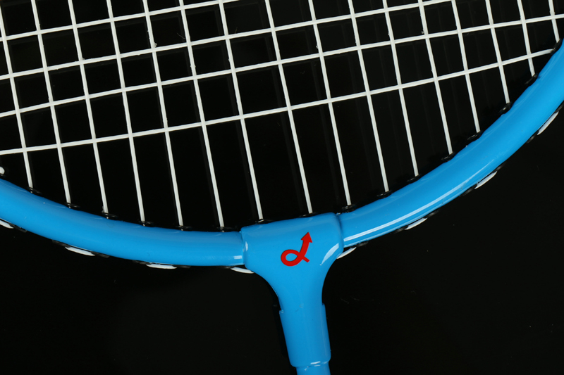 Raqueta de Bádminton de Aluminio CX-B218 Azul